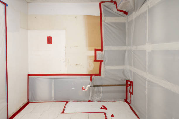 Best Forensic Mold Investigation  in East Patchogue, NY