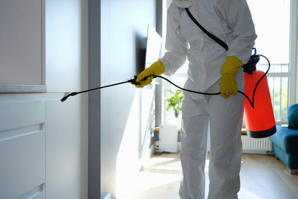 Best Airborne Mold Testing  in East Patchogue, NY