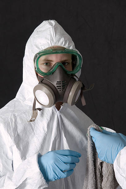 Best Black Mold Removal  in East Patchogue, NY